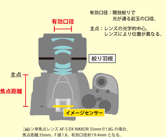焦点距離と有効口径-レンズの主点