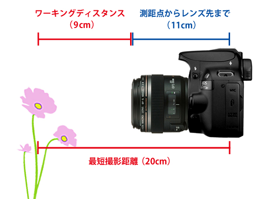 最短撮影距離とワーキングディスタンス-拡大2