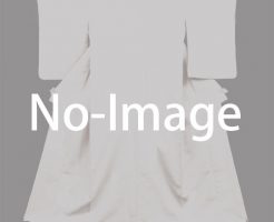 no-image