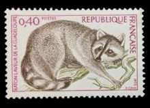 フランス　アライグマ切手