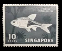 モレエラー切手