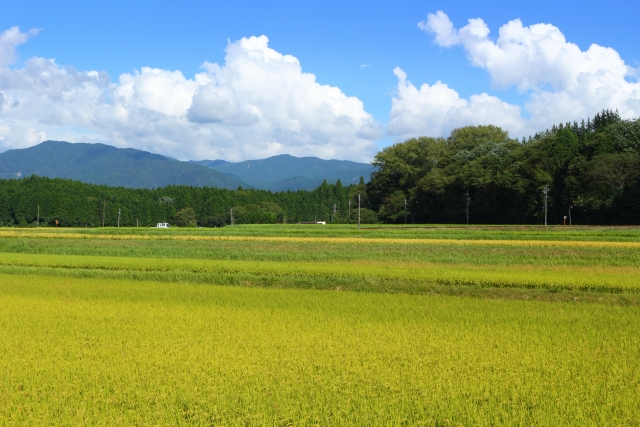 米の産地
