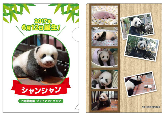 上野動物園 ジャイアントパンダ シャンシャン誕生記念解説書クリアファイル